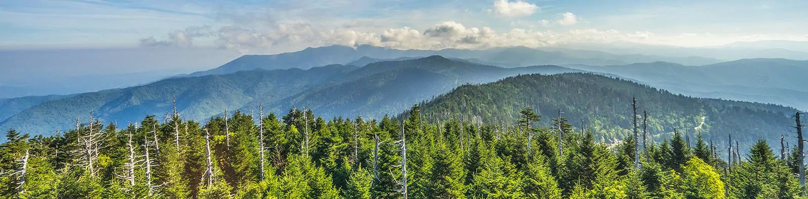Detailed shot of part of the Smoky Mountains in Tennessee. This shot was taken from top Kuwohi (formerly known as